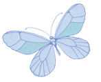 borboleta